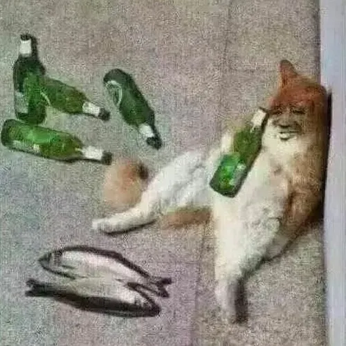 Ảnh chế mèo xỉn bộc lộ tư thế xiêu vẹo gần góc quán thân quen