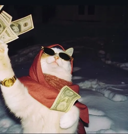 Meme mèo mặt bánh bao khơi nét vô tri đỉnh