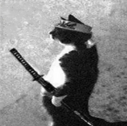 Meme vô tri nêu chiêu troll lén cực duyên