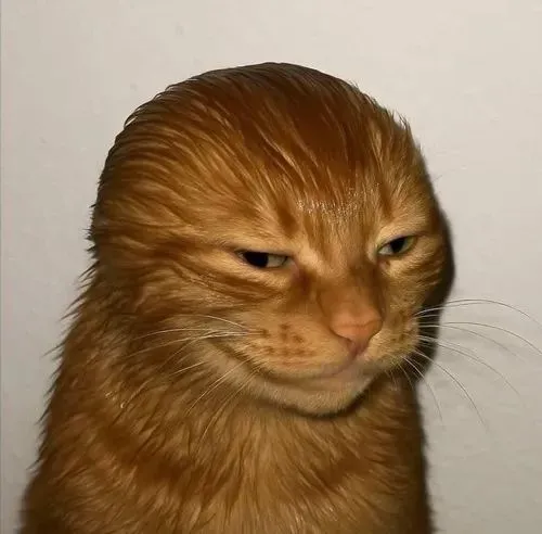 Ảnh vui tếu táo gợi cú chơi khăm vui vẻ