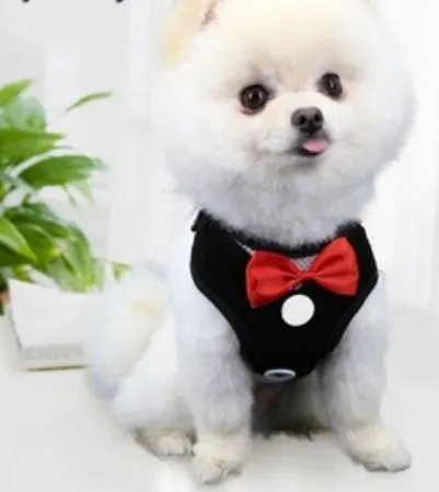 Bộ meme chó vest tạo hiệu ứng sang chảnh cực mạnh giữa drama bạn bè