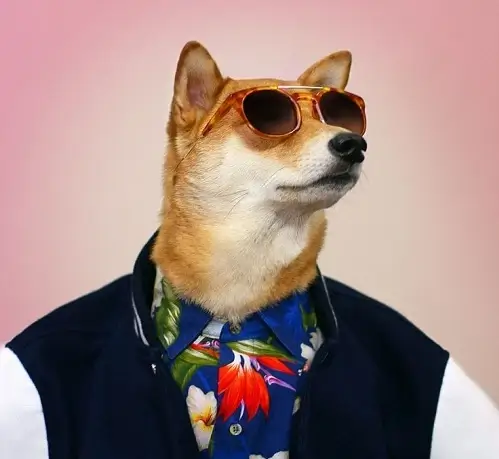 Meme chó diện vest bảnh bao chuẩn cảnh họp hành vui nhộn trong nhóm