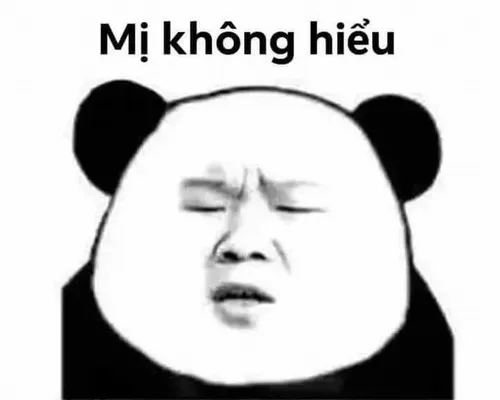 Meme gấu trúc tức giận: Biểu cảm đanh đá, cáu kỉnh và châm biếm