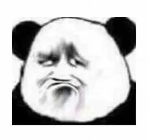 Meme gấu trúc ngáo: Hình ảnh lầy lội, ngơ ngác và cực hợp để troll