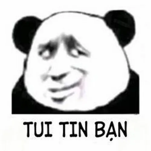 Meme gấu trúc vui nhìn mà thấy yêu đời hẳn.