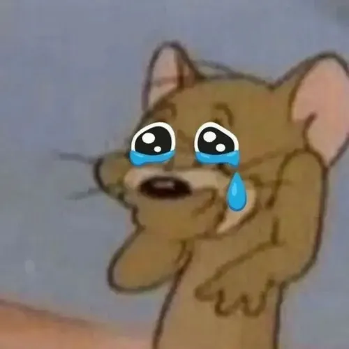 Hình hài Jerry mím miệng khi thấy bẫy chuột đặt sát góc tường tối