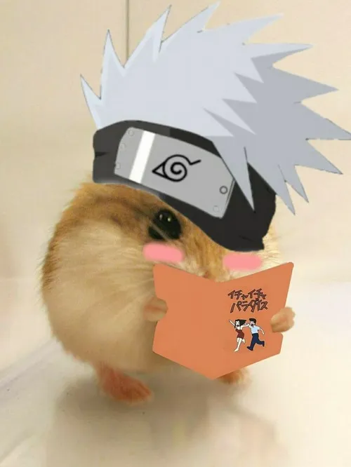 Hình troll người chỉ huy kín tiếng liếc Naruto biết ngay kết quả