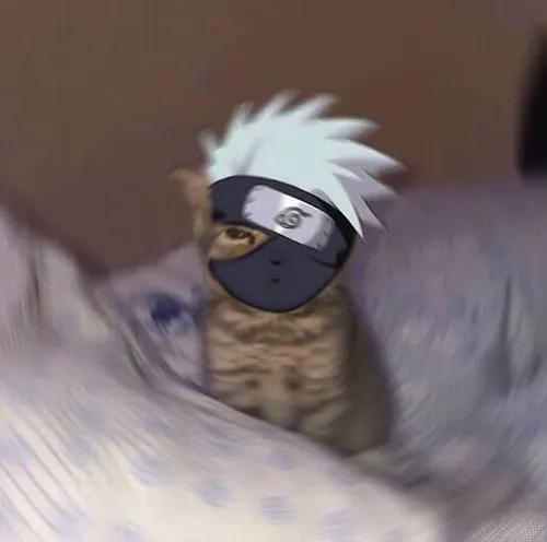 Meme mèo cosplay Kakashi bùng nổ khi cần biểu cảm lười nhác nhưng đầy khí chất