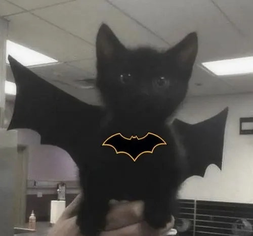 Meme Batman đối mặt Joker trong bóng hình trầm mặc