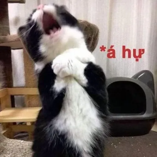 Ảnh chế khoảnh khắc chan chứa như kỷ niệm ùa về