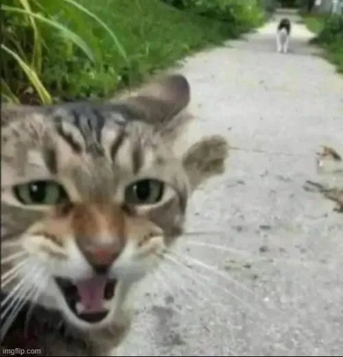 25+ Meme Chỉ Tay Ra Đằng Sau đổ lỗi bóc phốt nhẹ nhàng mà hài hước