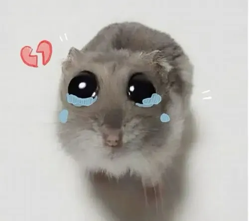 Nét tội nghiệp của meme chuột khóc giúp bạn gửi lời trách yêu đúng sắc thái.
