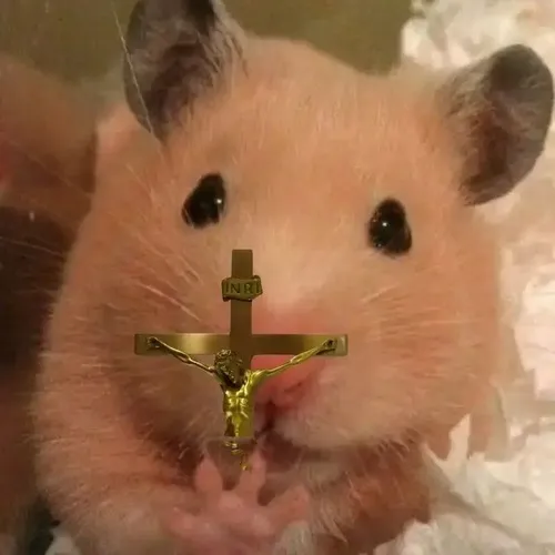 Ảnh troll chuột bẽ bàng dáng rụt rè thể hiện cảm xúc mềm yếu