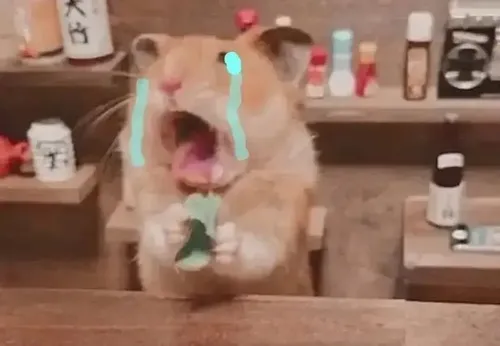 35 ảnh Chuột Khóc Meme khi bạn muốn diễn đạt nỗi buồn một cách dí dỏm