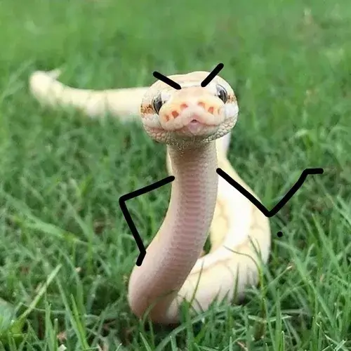 Ảnh chế rắn diễn họa tiết vảy nổi như hoa văn.