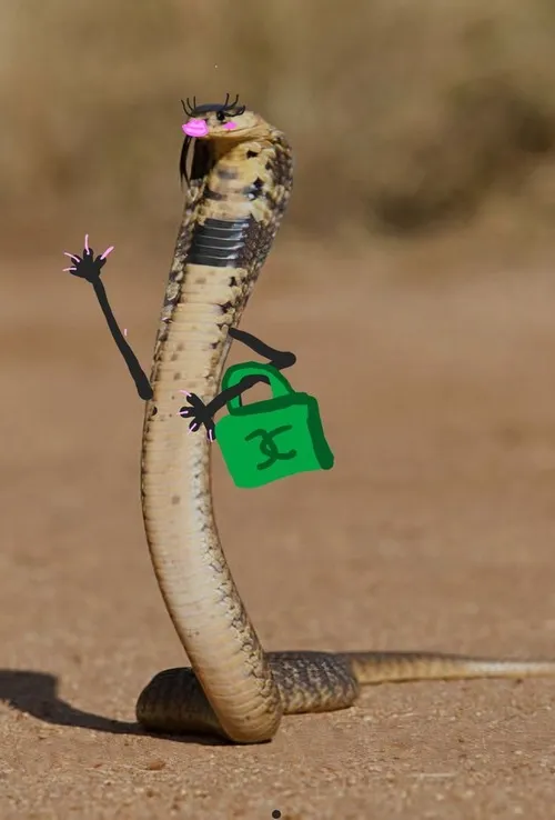 Ảnh troll rắn lớn mô tả thân cong mềm cuốn hút.