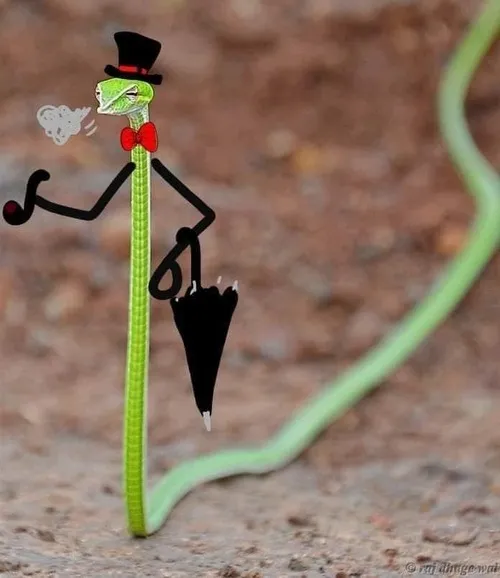 Meme chế rắn dùng đuôi nhọn nhấn động tác quét.