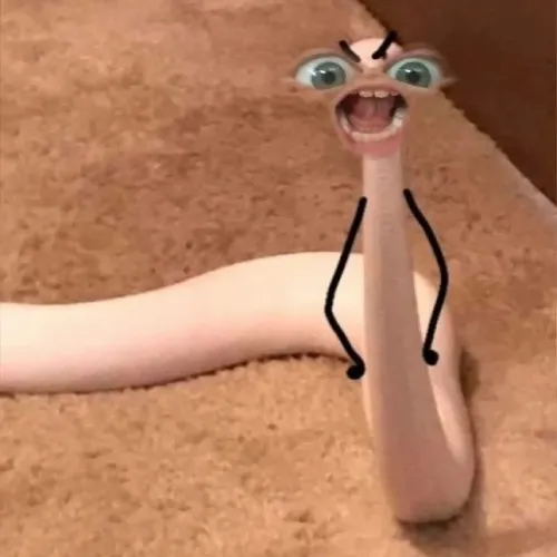 Hình meme hài xà nhấn chuyển động bò lượn nhanh.