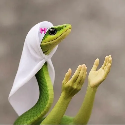 Ảnh chế rắn mô tả tiếng phì đặc trưng trong gió.