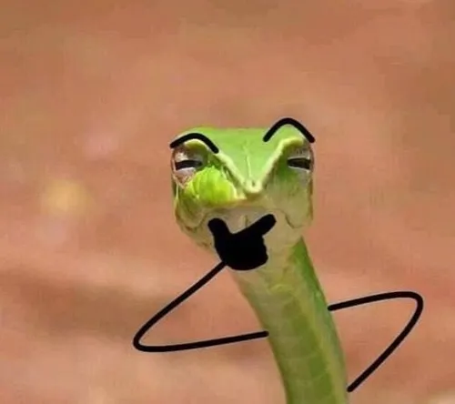Meme con rắn dùng đầu tam giác làm điểm nhấn.