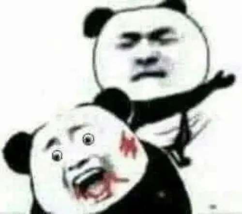 Meme gấu trúc ngông nghênh hợp câu chuyện mang sắc thái chọc cười