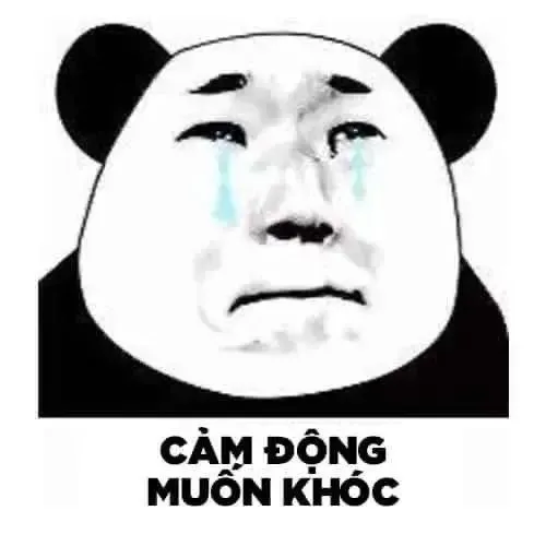 Meme chế gấu trúc giễu cợt dáng nghiêng trêu chọc cực bén