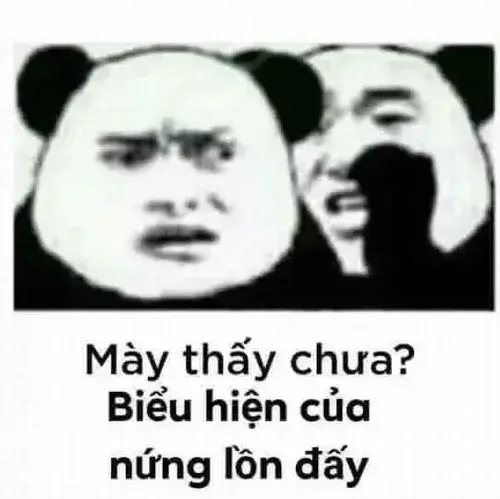 Meme gấu trúc troll bén ngót cho đoạn chat xoáy sâu mà không nặng nề