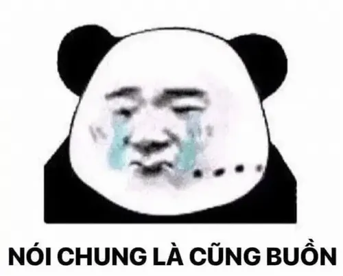 Meme hài gấu trúc khóc với biểu cảm dễ đọc