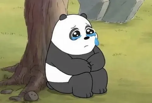 Ảnh meme vui gấu trúc ướt mắt khoanh lông xám rung nhẹ