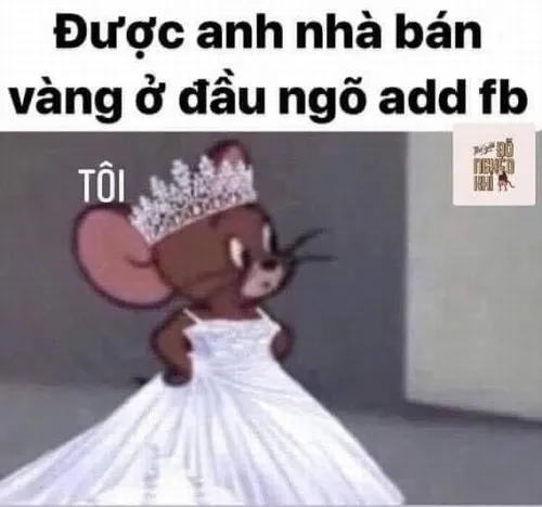 Biểu cảm mắc cỡ được nâng tầm nhờ meme Jerry mặc váy cưới trong những phút rung động
