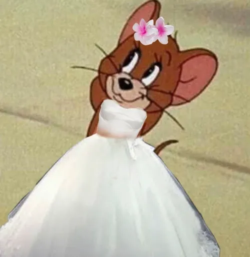 20+ Meme Jerry Mặc Váy Cưới diễn tả khoảnh khắc e thẹn ngại ngùng hài hước