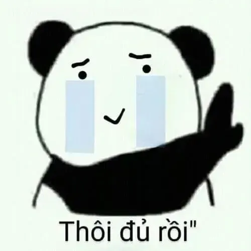 Chỉ một meme gấu trúc khóc nhưng cười cũng đủ biến tâm trạng nửa vui nửa rối