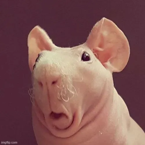 Khoảnh khắc khung cảnh bàng hoàng chết lặng bất ngờ