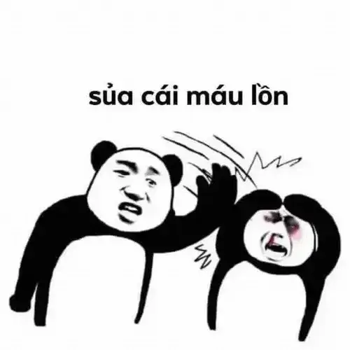 Ảnh vui gấu trúc lươn lẹo nét troll bắt nguồn Weibo khiến meme lan tỏa mạnh mẽ