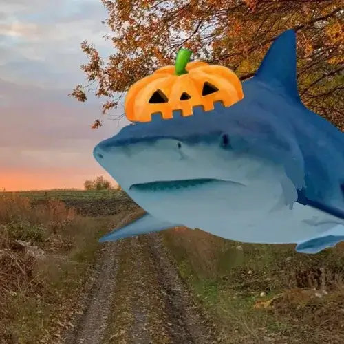 Meme cá mập gợi hàm răng lao tới kèm sủi bọt xoáy nước.