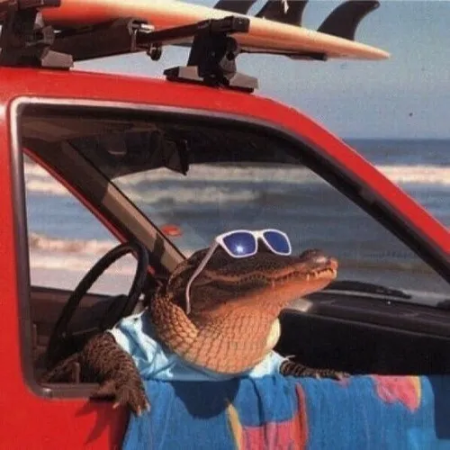 Hình chế meme cá sấu nhắc dấu bò ngoằn ngoèo ven lau