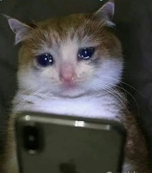 Meme ảnh xúc động nghẹn lòng giữa khoảnh khắc lay động