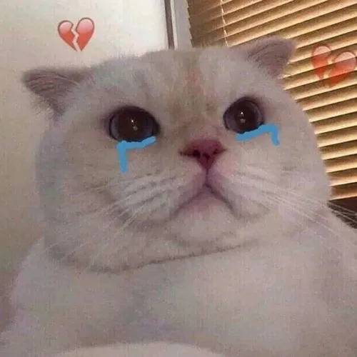 Meme chế ánh mắt dư âm đọng lại đầy lắng đọng sâu