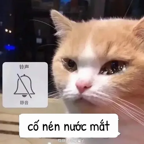 Hình chế meme vui đồng cảm nhẹ khi câu chuyện thuộc dòng sự kiện lay động