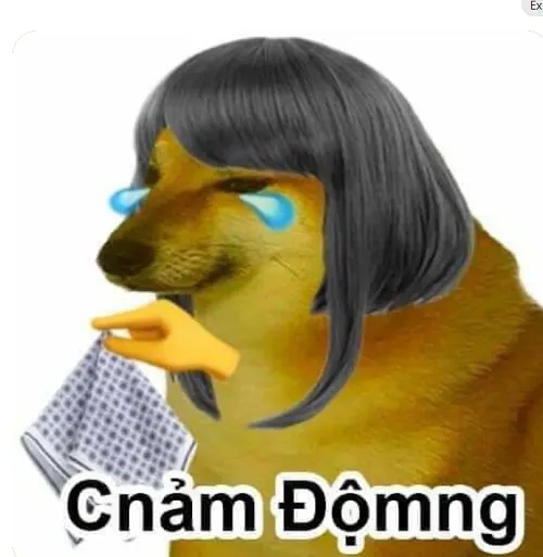 Hình troll thương cảm nhẹ khi lời nói từ tâm làm chan chứa cảm xúc