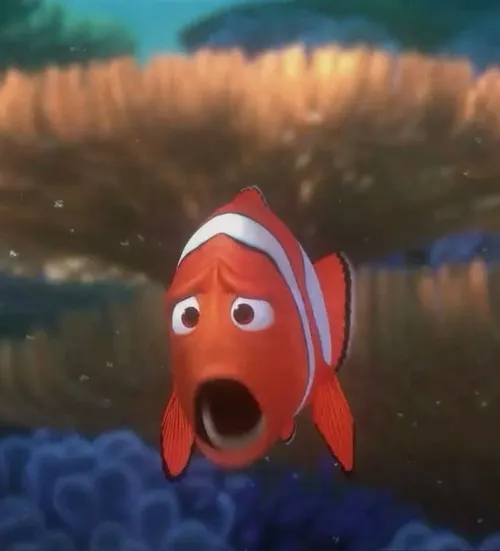 Hình chế cá basa đơ mặt vì chưa kịp hiểu tình huống.