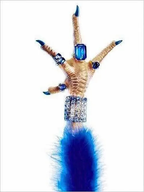 Ảnh troll gà quê liên hệ biểu cảm dí dỏm trong đàn gà