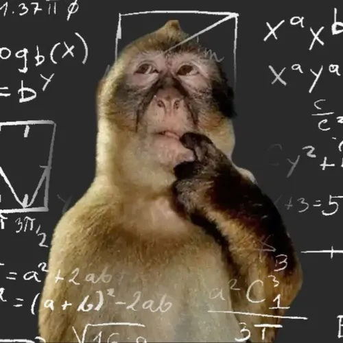 Hình meme hài khỉ con khai thác mức độ ngơ ngác rất thật.