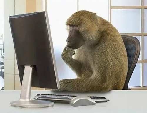 Ảnh troll con khỉ nhấn mạnh tay gãi đầu hơi ngơ.