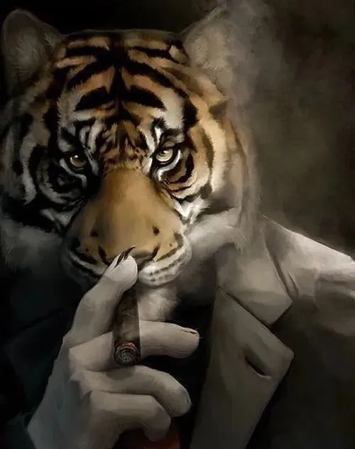 Dê lùn liếc xéo ánh mắt liếc mắt cảnh giác.