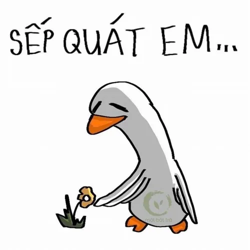 Meme vịt hiền hòa gắn với ao làng và cảnh quạc nhẹ đầy vui nhịp.