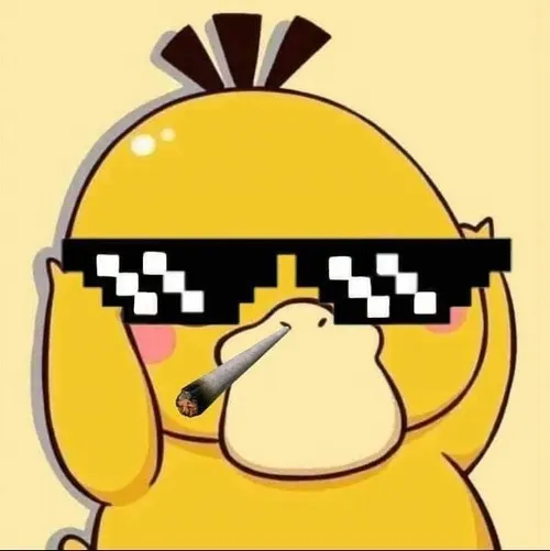 Meme vịt lạch bạch thể hiện dáng tròn trịa đầy duyên.