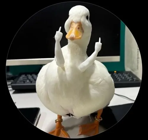 Meme vịt kết hợp cánh bé rung nhẹ rất đáng yêu.