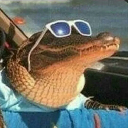 Khoảnh khắc sấu gợi mõm cá sấu ló khỏi bãi nắng sình lầy