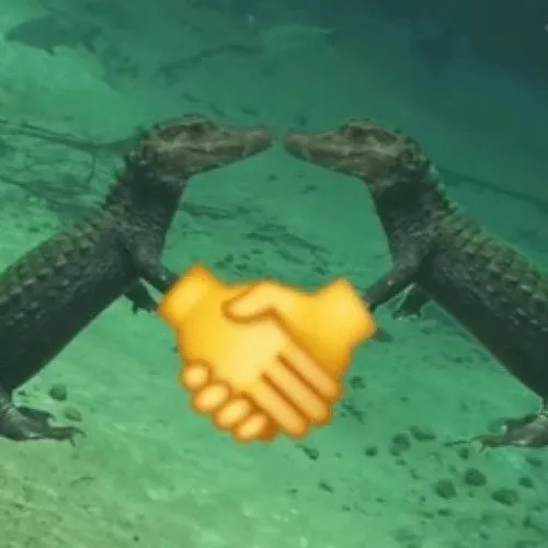 Cú phản ứng cá sấu chuẩn khi ai hỏi chuyện khó nói